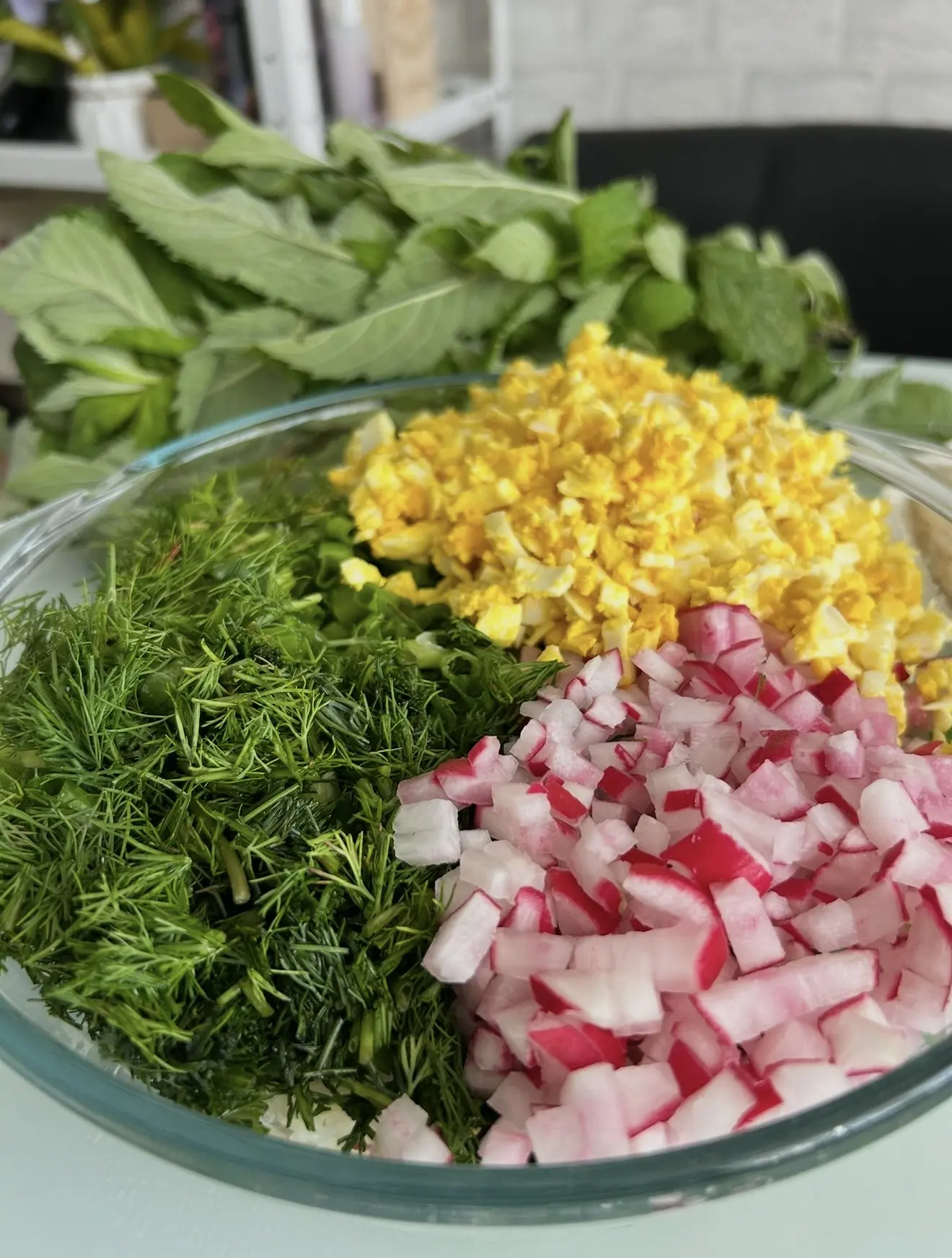 Посадила зелень в теплице🥬 Солнышко начинает пригревать и совсем скоро мы будем делать витаминные са