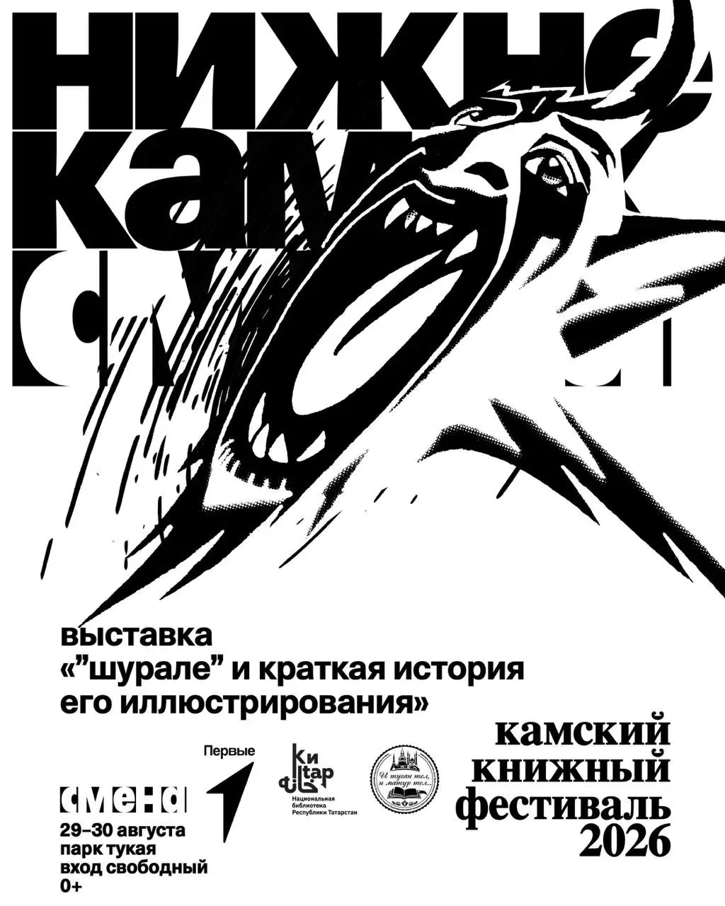 Крутые ночные новости: «Кытыклы-мытыклы» в Нижнекамске!