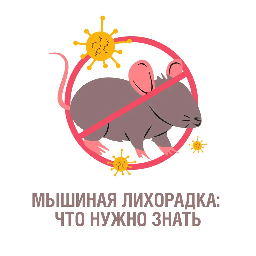 В 30-х годах прошлого века мир узнал о таком заболевании, как мышиная лихорадка (геморр...