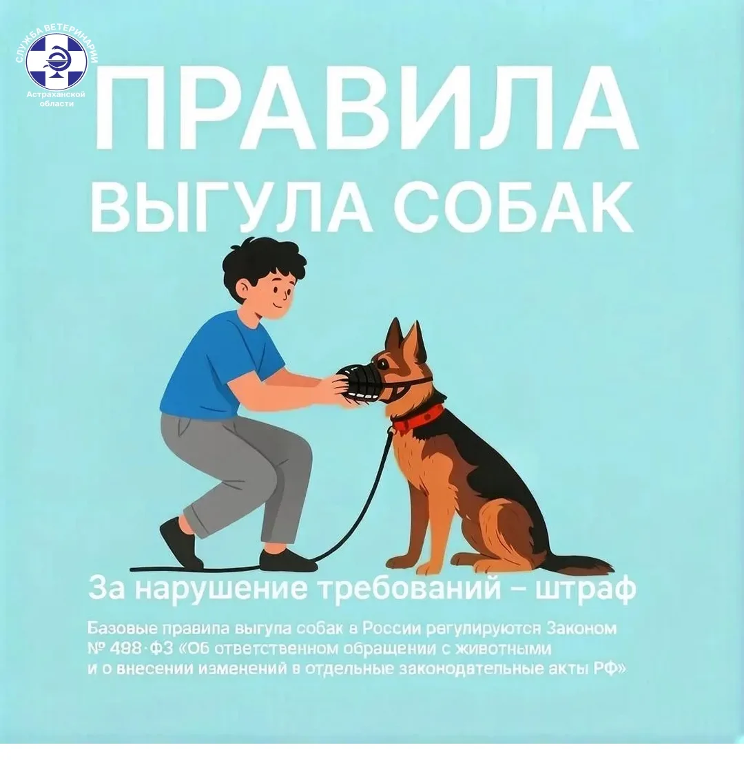 Уважаемые подписчики! 🐾