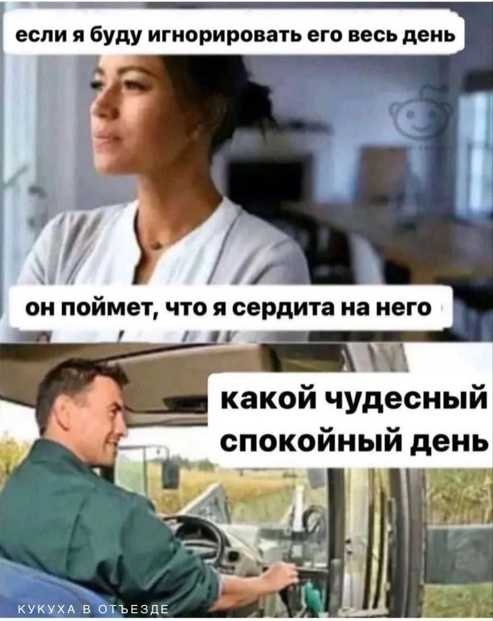 Кукуха в отъезде 🐦