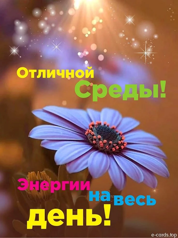 🥰 Оставляйте реакции, если понравилась открытка и делитесь с близкими ❤

Подпишитесь и Вы не сможет