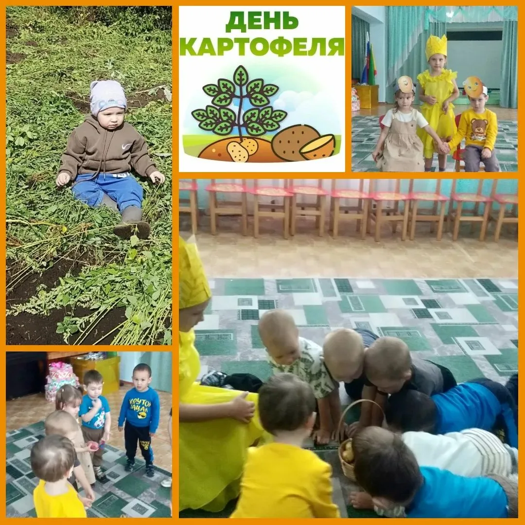 Знаете, ли что 26 августа в России отмечают День картофеля. Да, да этот скромный , но в...