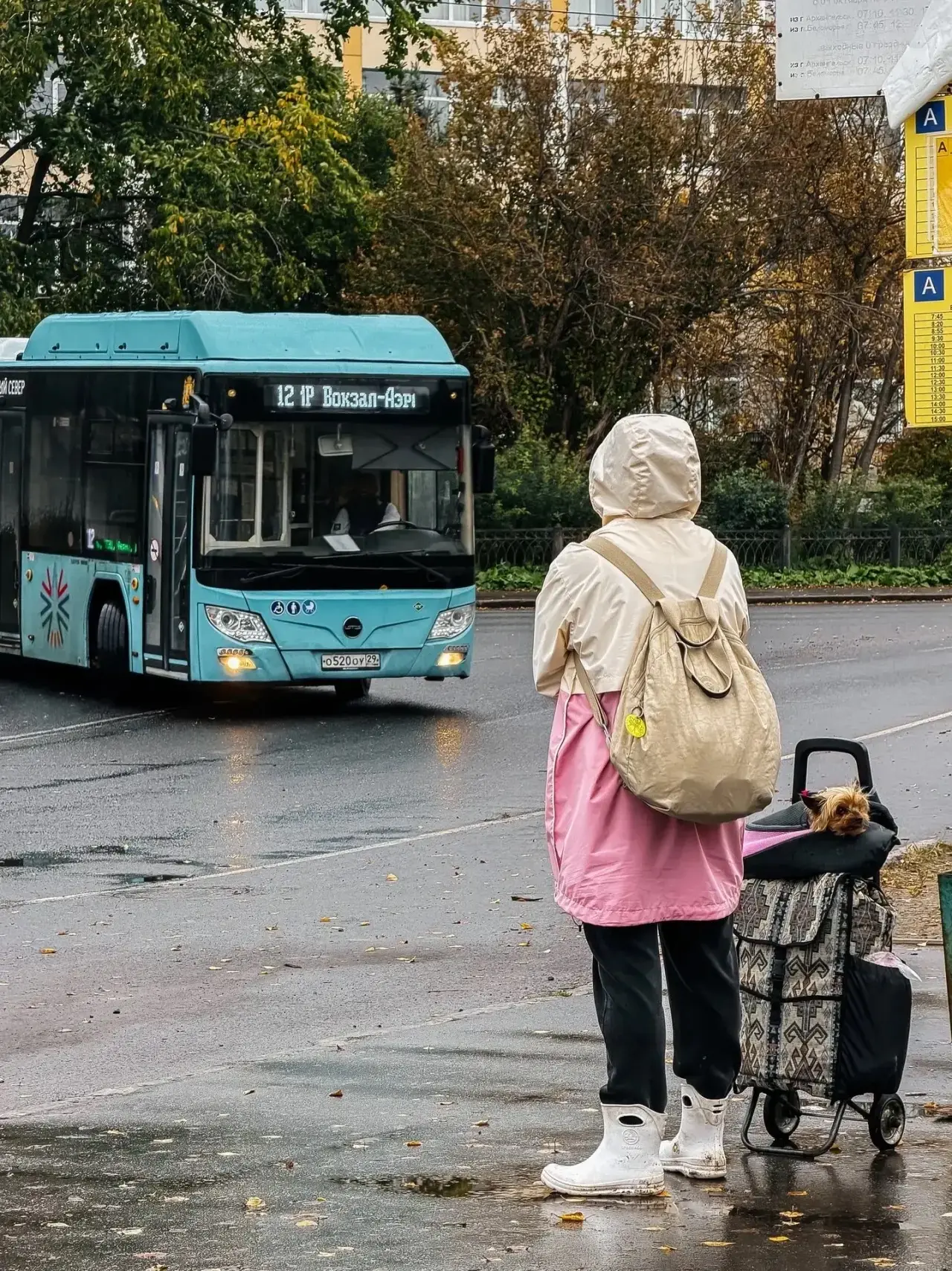 Вот и первый осенний месяц позади.