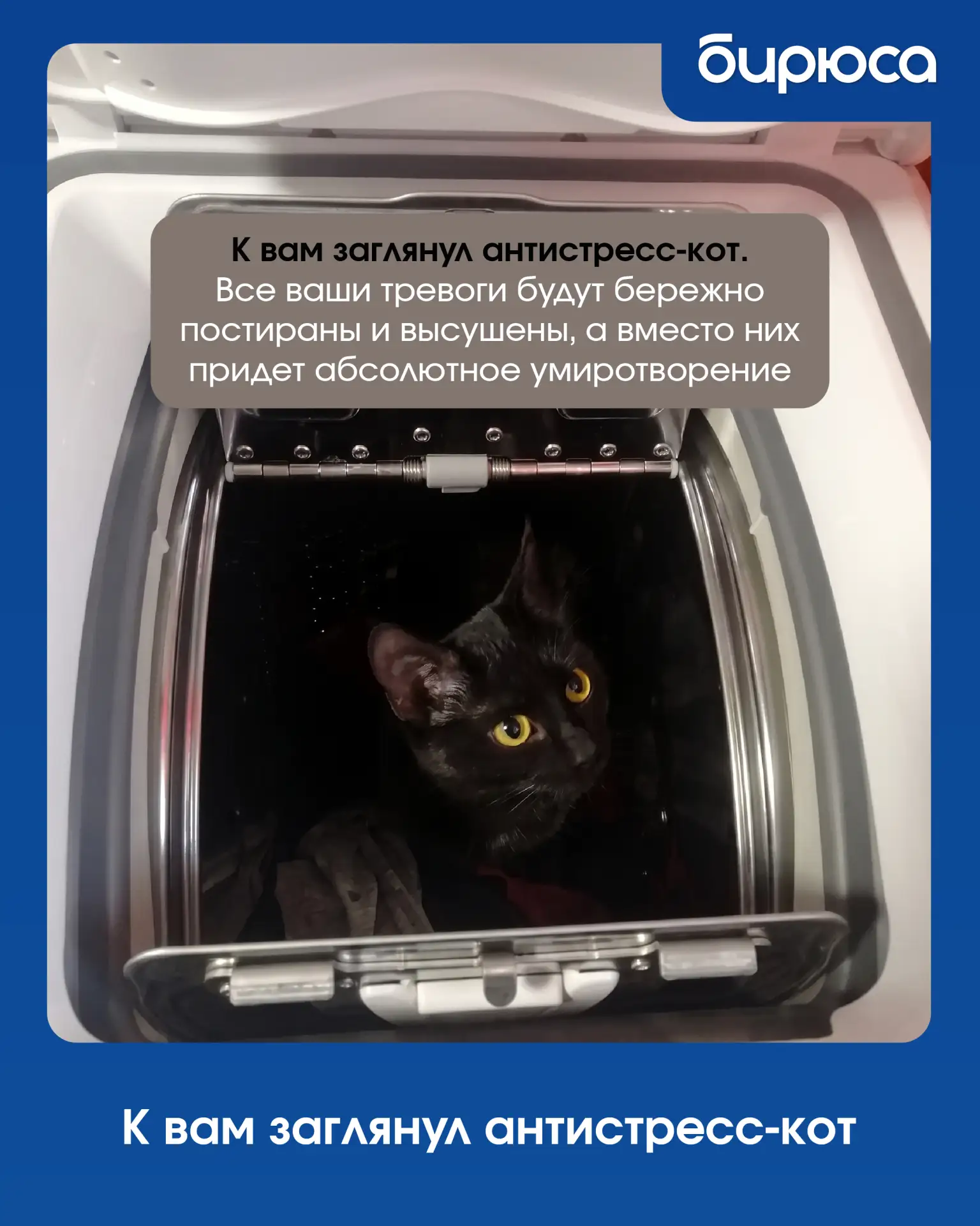 ✨🐈 Вашу ленту посетил кот абсолютного умиротворения!

Он желает вам, чтобы все повседневные заботы 