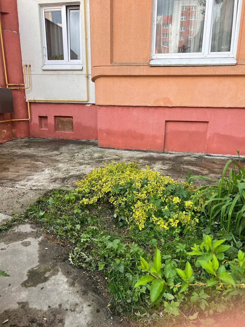 Силами управляющей компании проведены работы по очистке фасада, отмостки, крылец от заг...