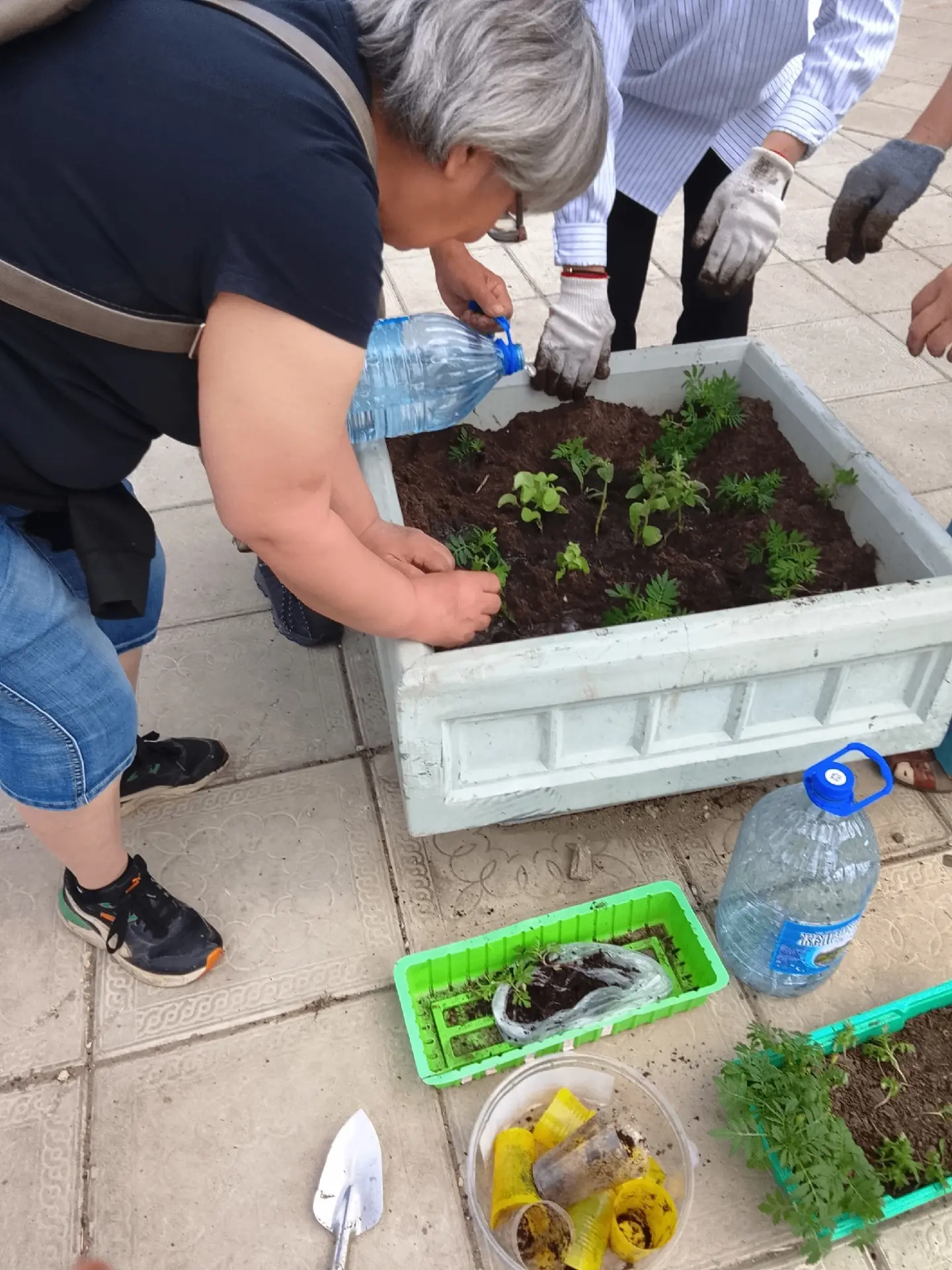 🌺 «Добрые сердца» украшают Троицко-Печорск 

👍 В рамках акции специалисты по социальной работе Тро