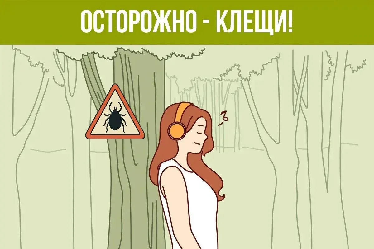 🕷️ Осторожно: сезон клещей открыт!
