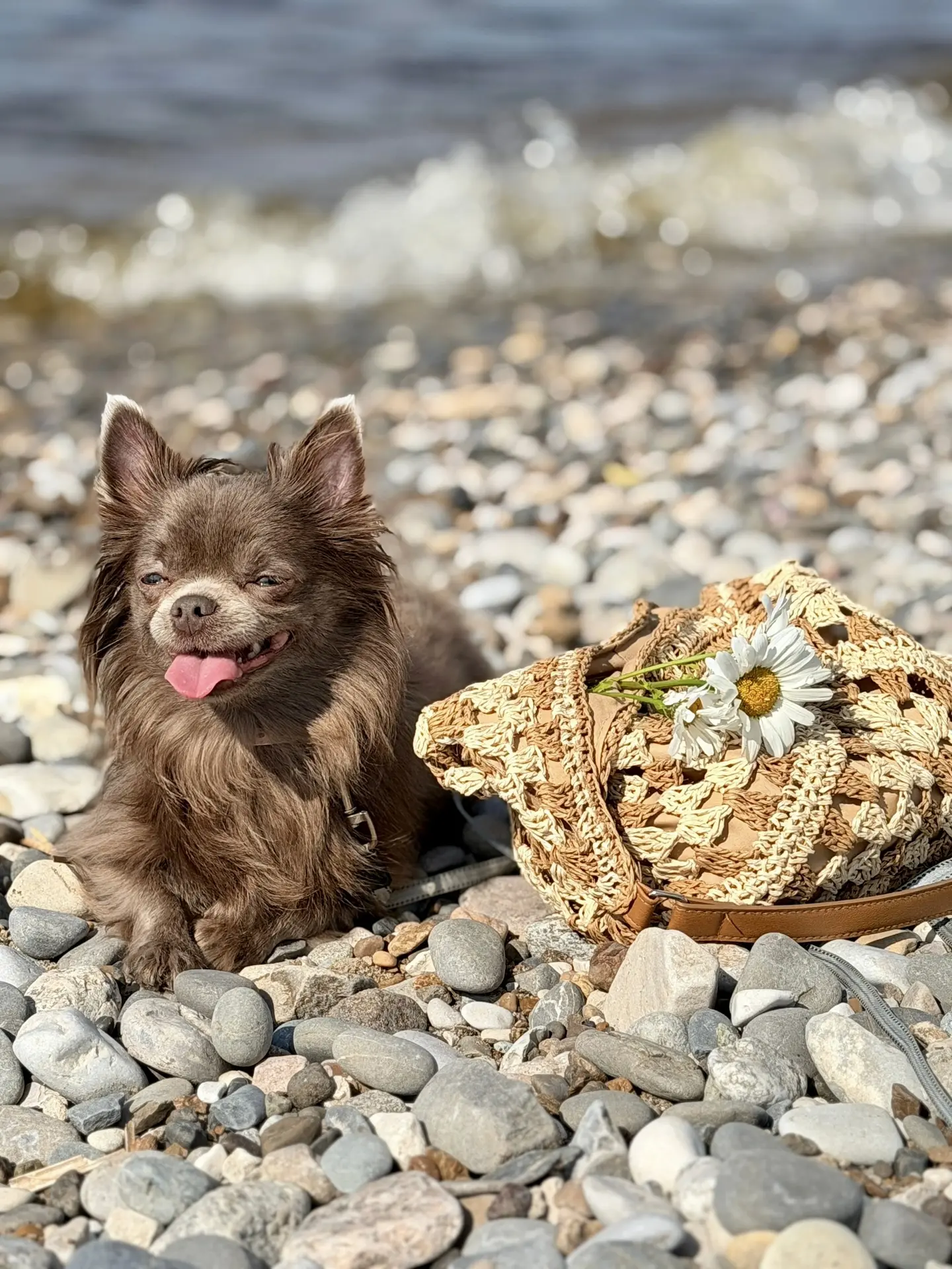 🐾❤️☀️
Важней всего комфорт души…