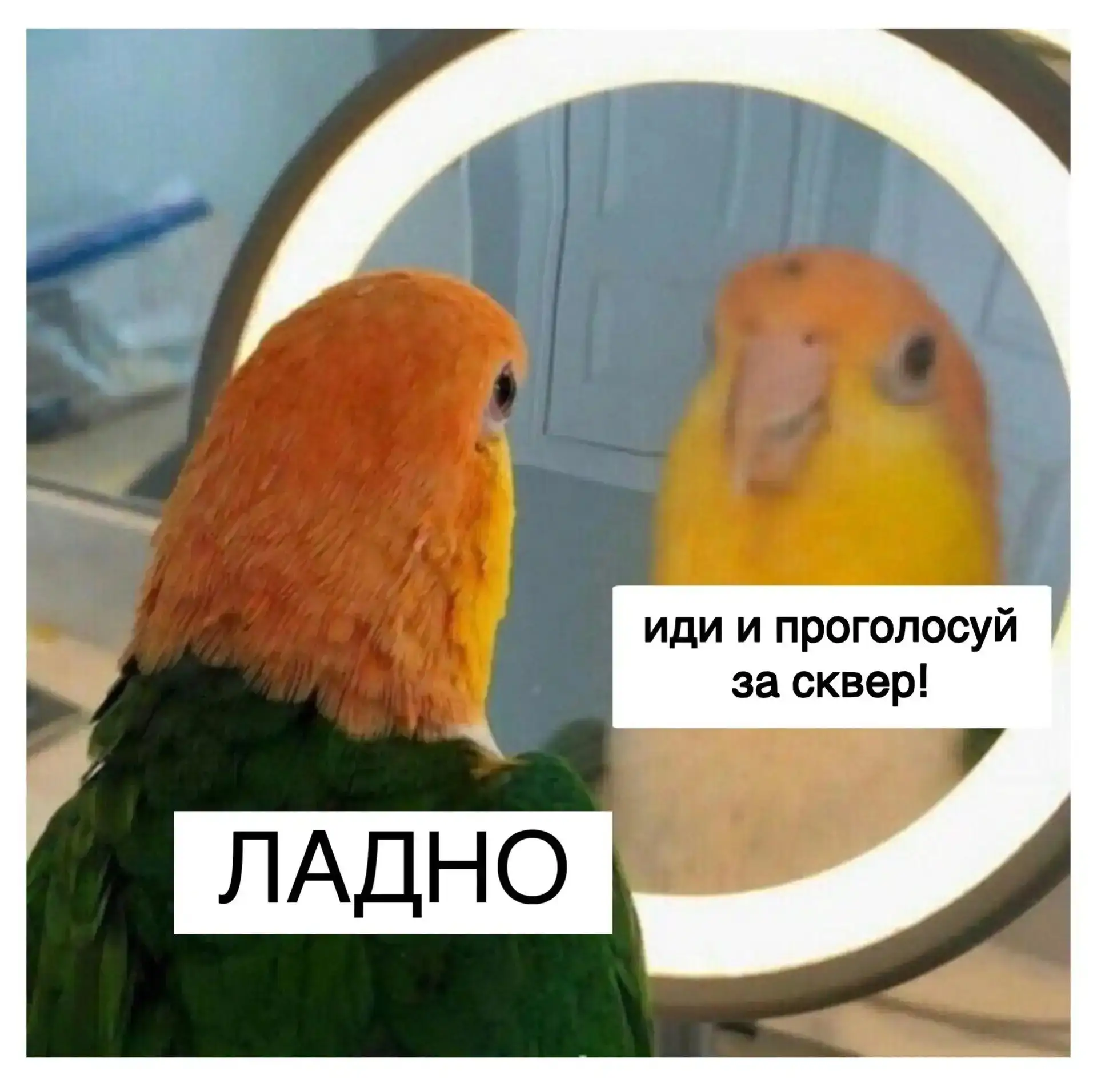✅Во Владивостоке продолжается рейтинговое голосование за общественные территории, котор...