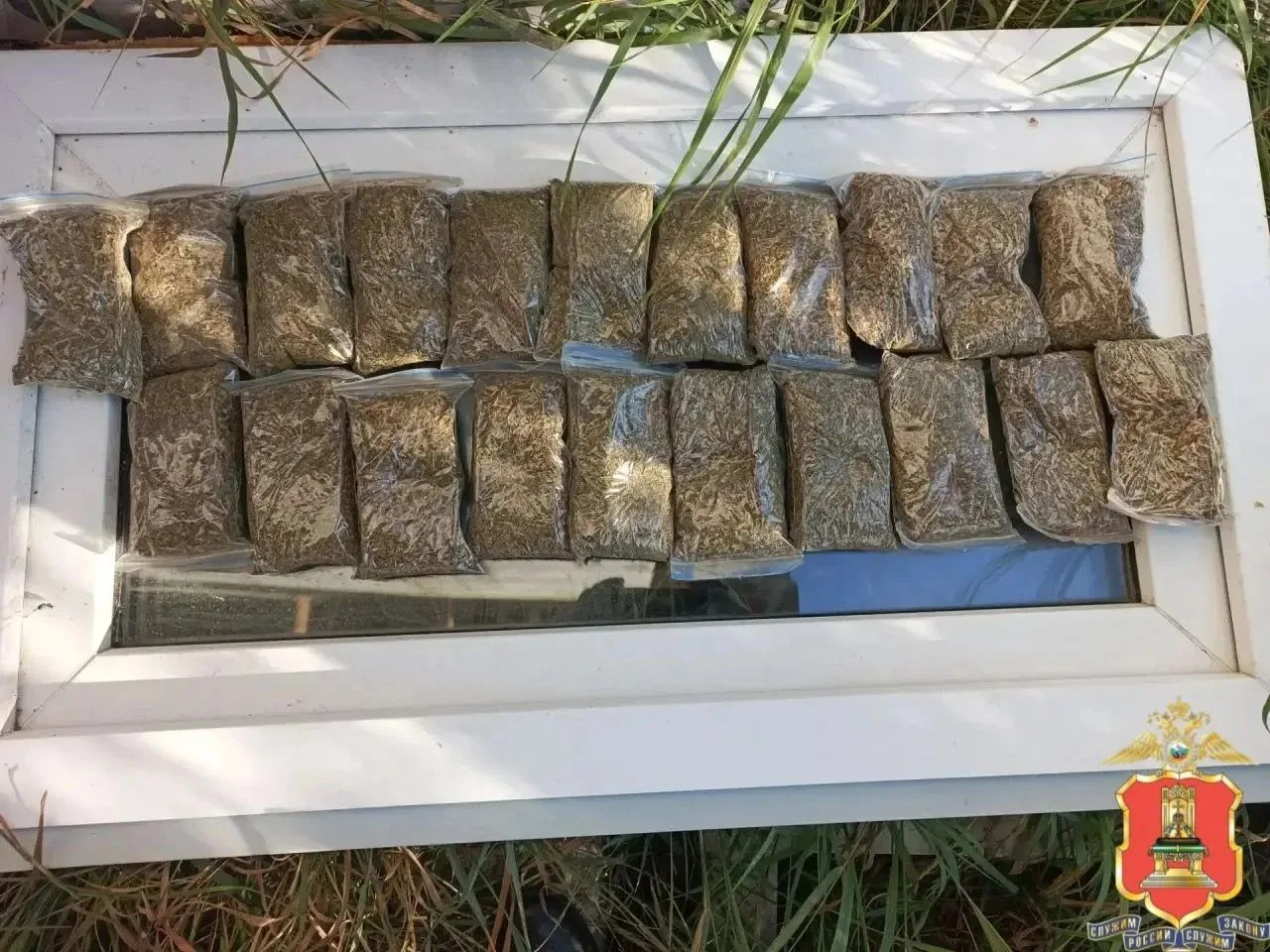 🌿 Под Тверью у мужчины нашли почти килограмм марихуаны

В деревне Боровлёво полицейские обнаружили 