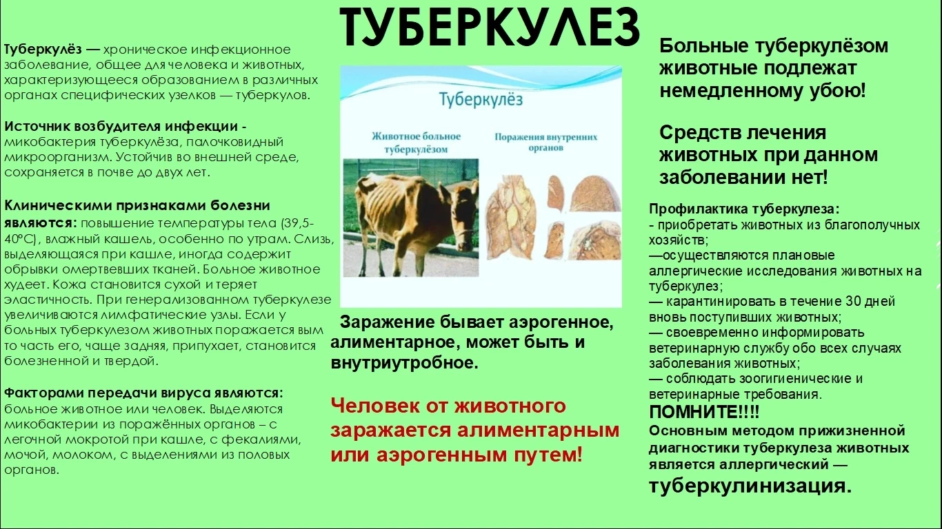 Туберкулёз!
Памятка населению!