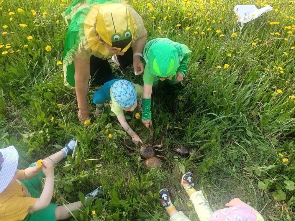 Майский жук к нам залетел,