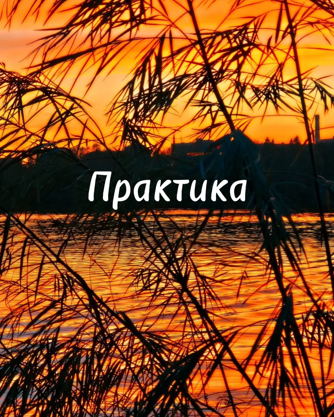 Приветствую вас!🍁