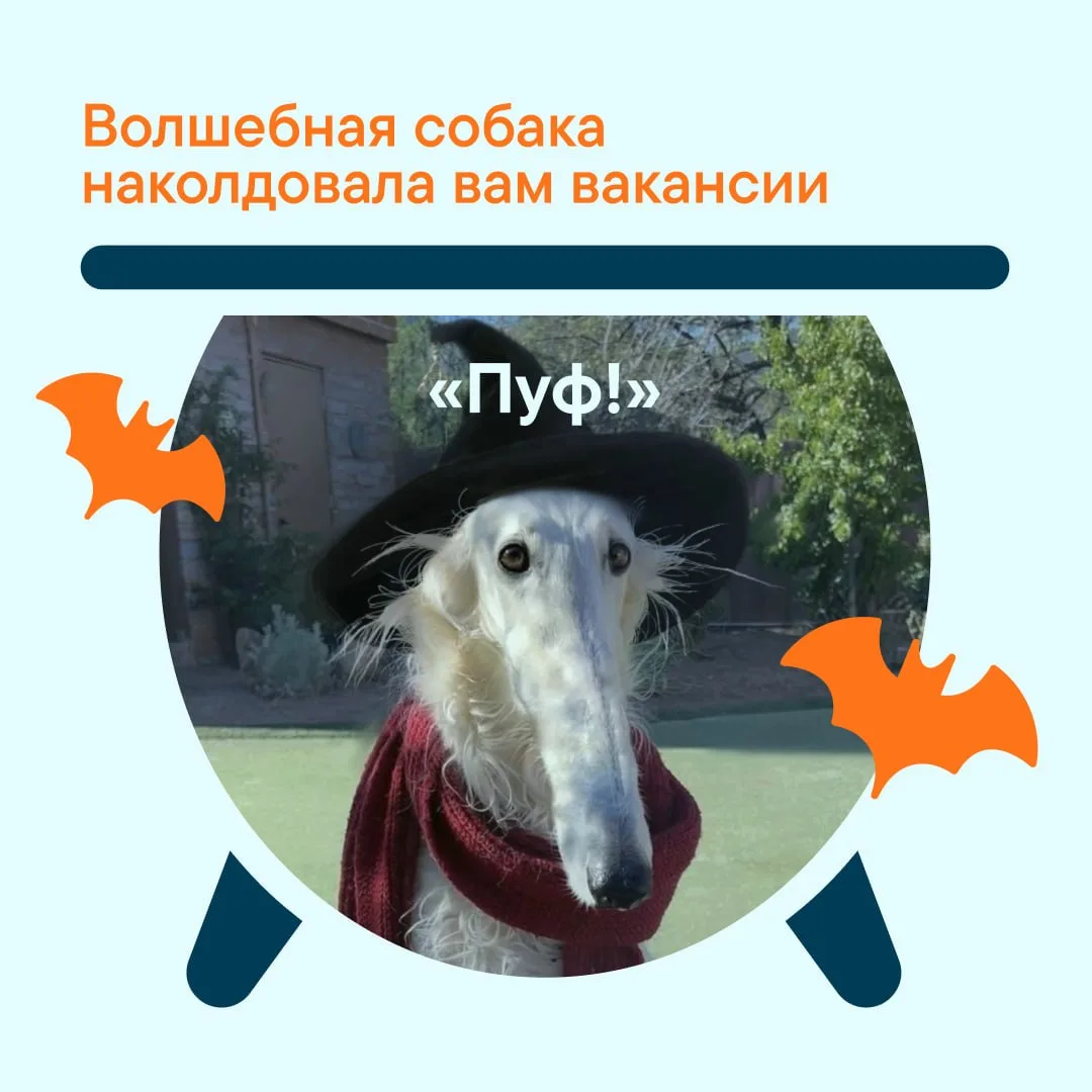 Упс… в котле сварились классные вакансии 📖
