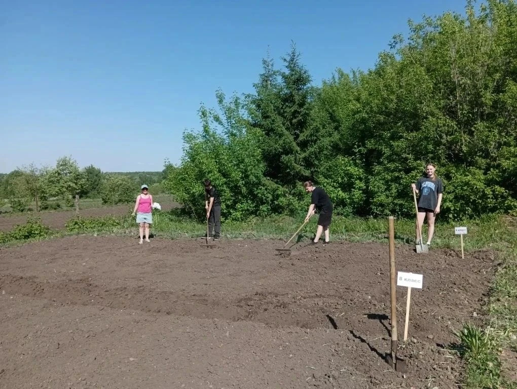 Учащиеся и педагоги МБОУ «Сугайкасинская основная общеобразовательная школа» провели по...
