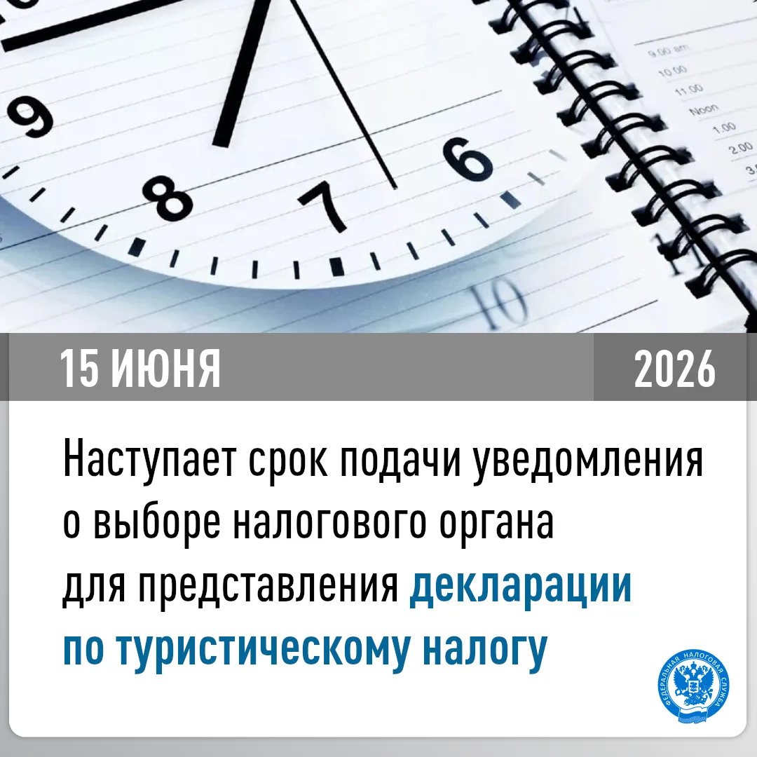 📌Наступает срок подачи уведомления о выборе налогового органа для представления деклар...