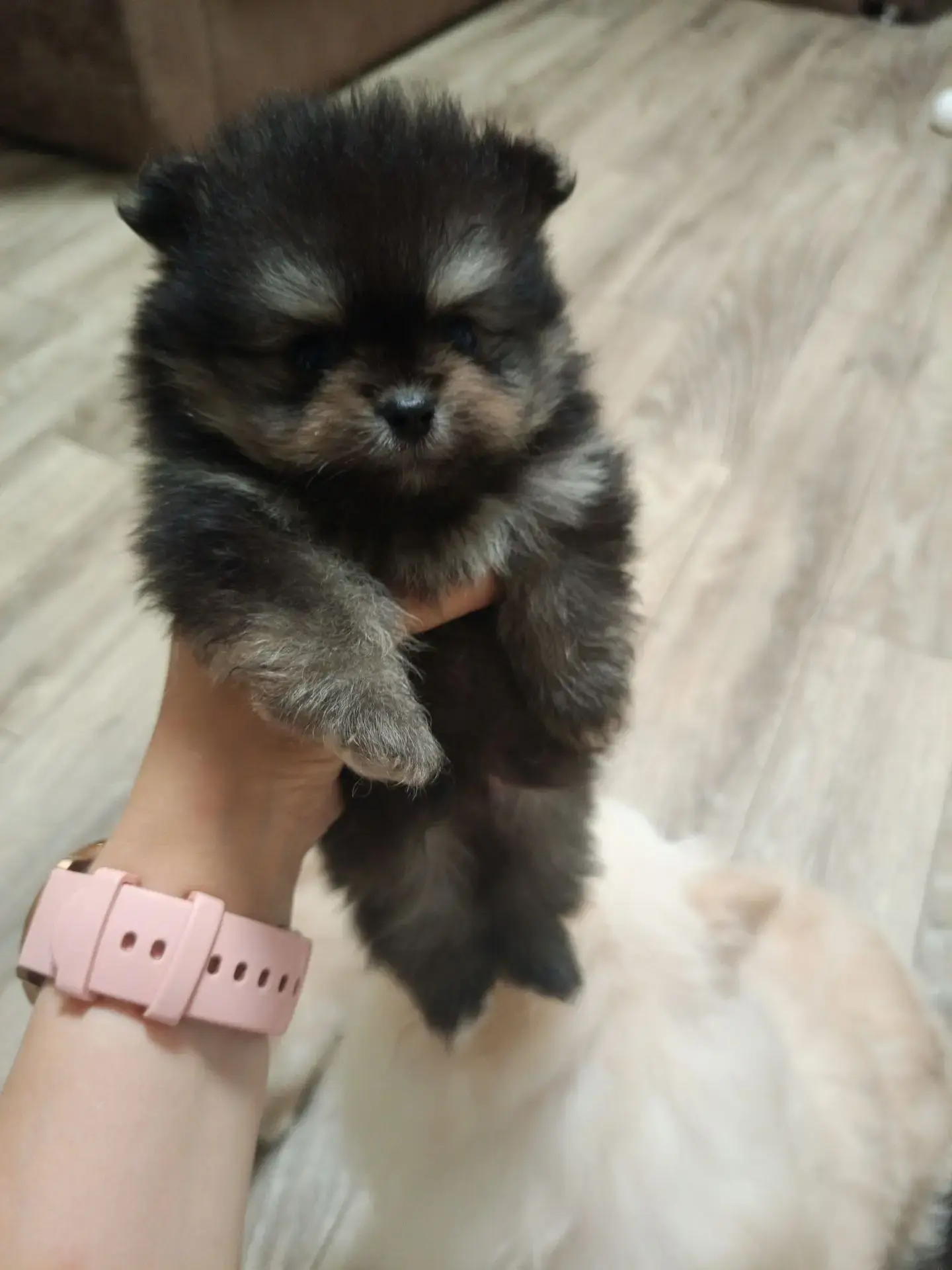 #Абакан #Хакасия