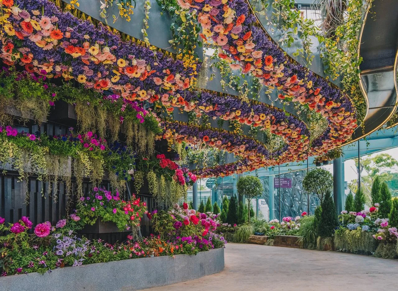 Купол Цветов, Сингапур 🇸🇬  🔹 Купол Цветов или Flower Dome - крупнейшая в мире стеклянная теплица, ра