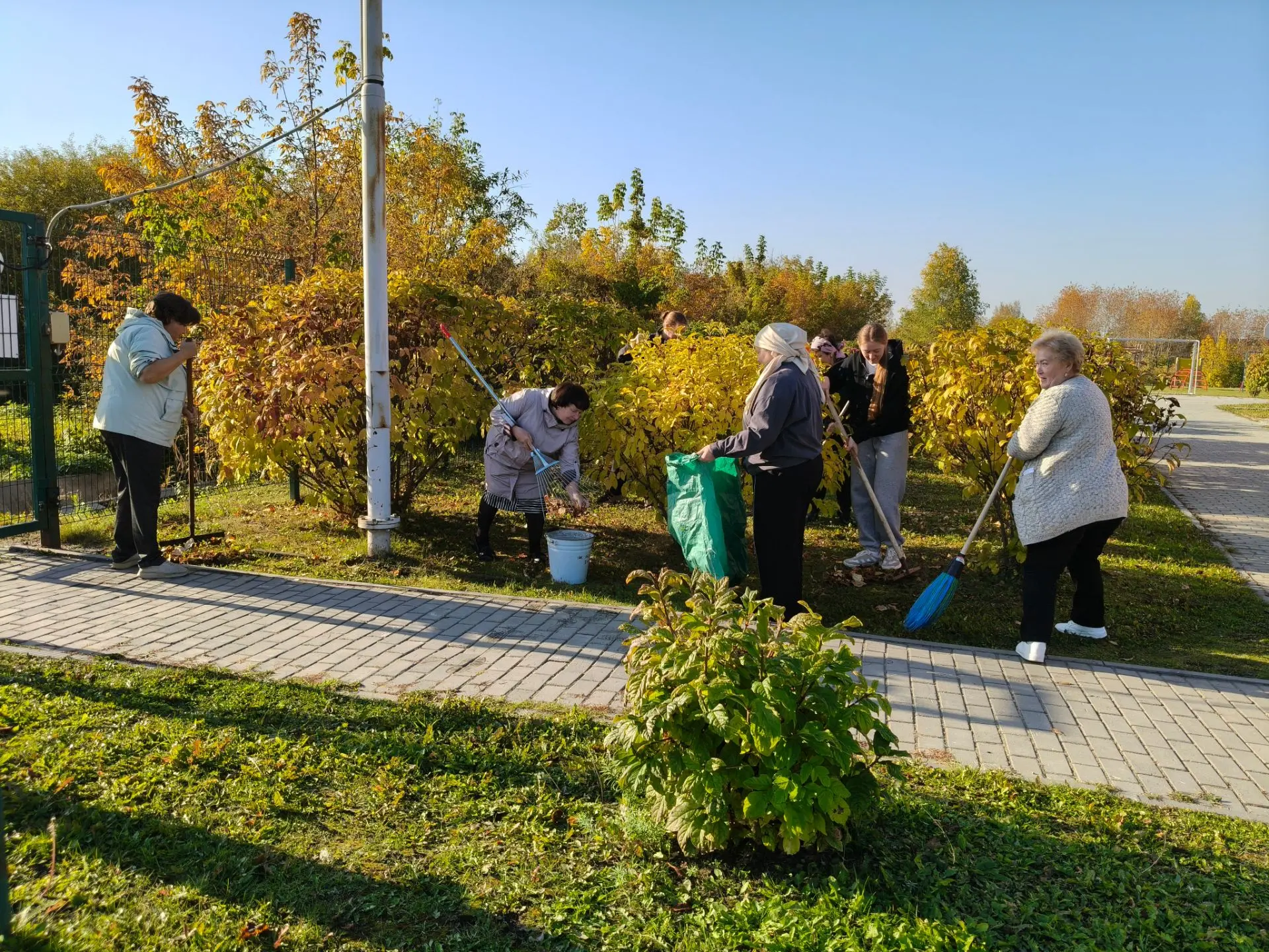 🧤 Грабли в руки — и вперёд!