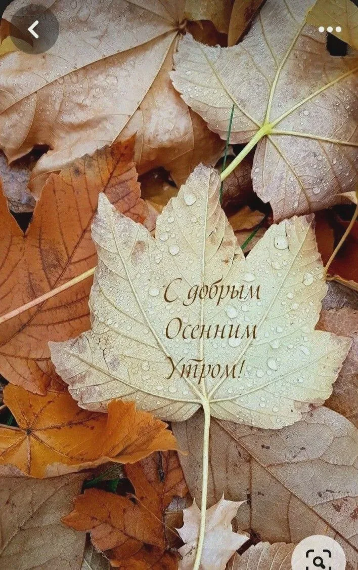 ❄️ В Миассе выпал первый снег