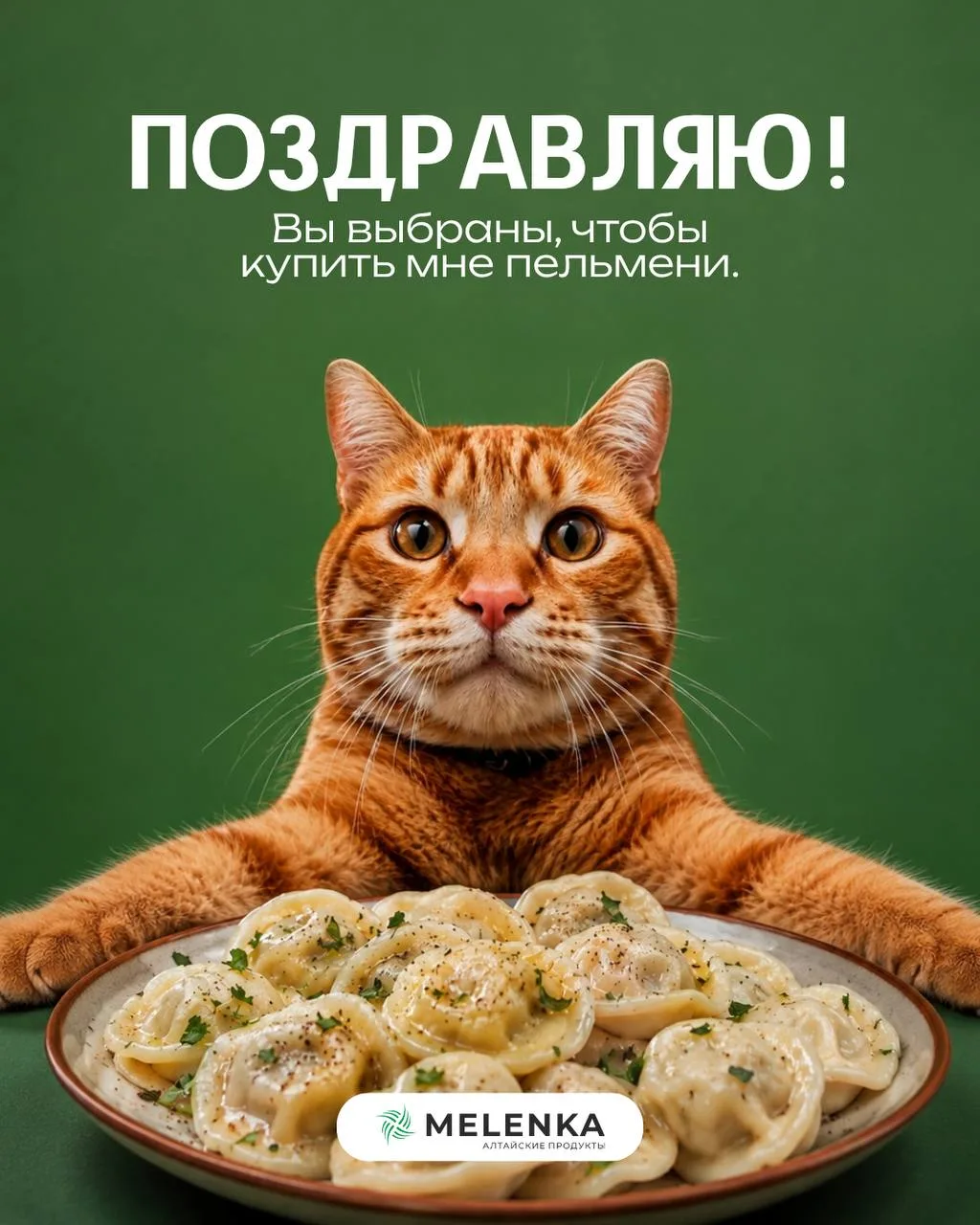 Это намёк! Отправьте тому, кто должен вам пельмени🥟✨