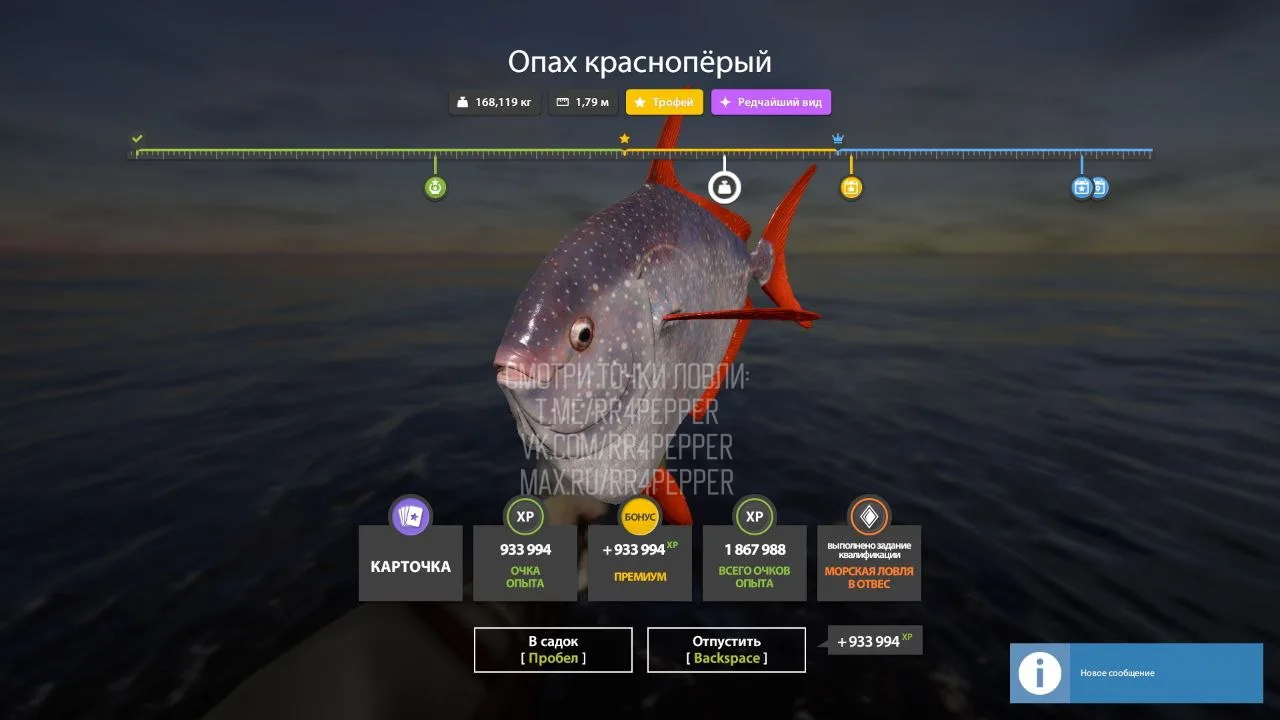 #норвежское@rr4pepper