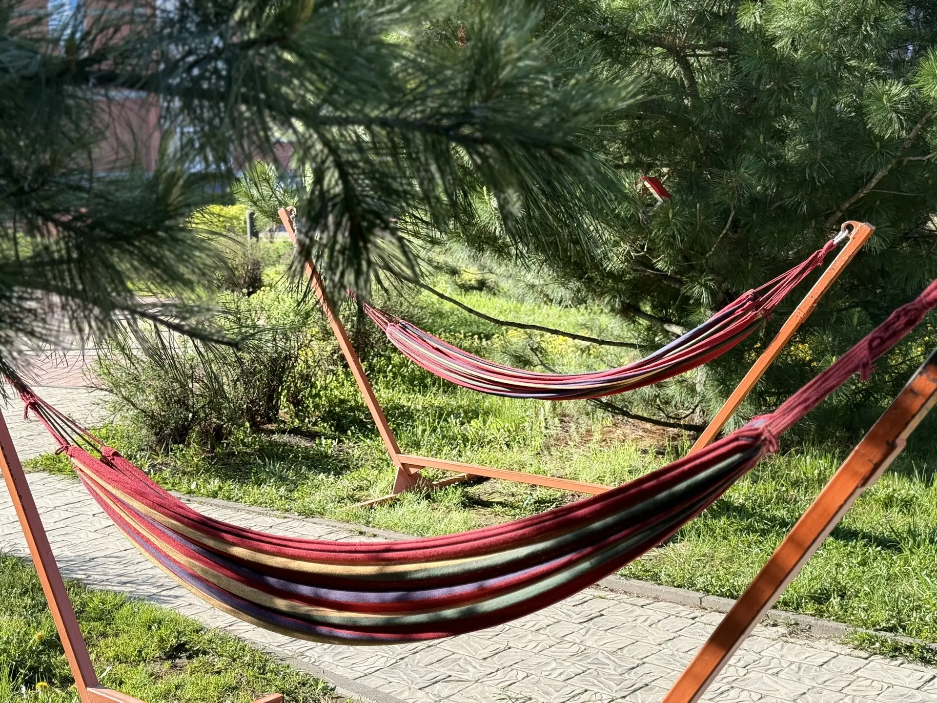 Мы установили новые гамаки 🌳

Теперь почитать книгу, послушать подкаст или просто понаблюдать за об