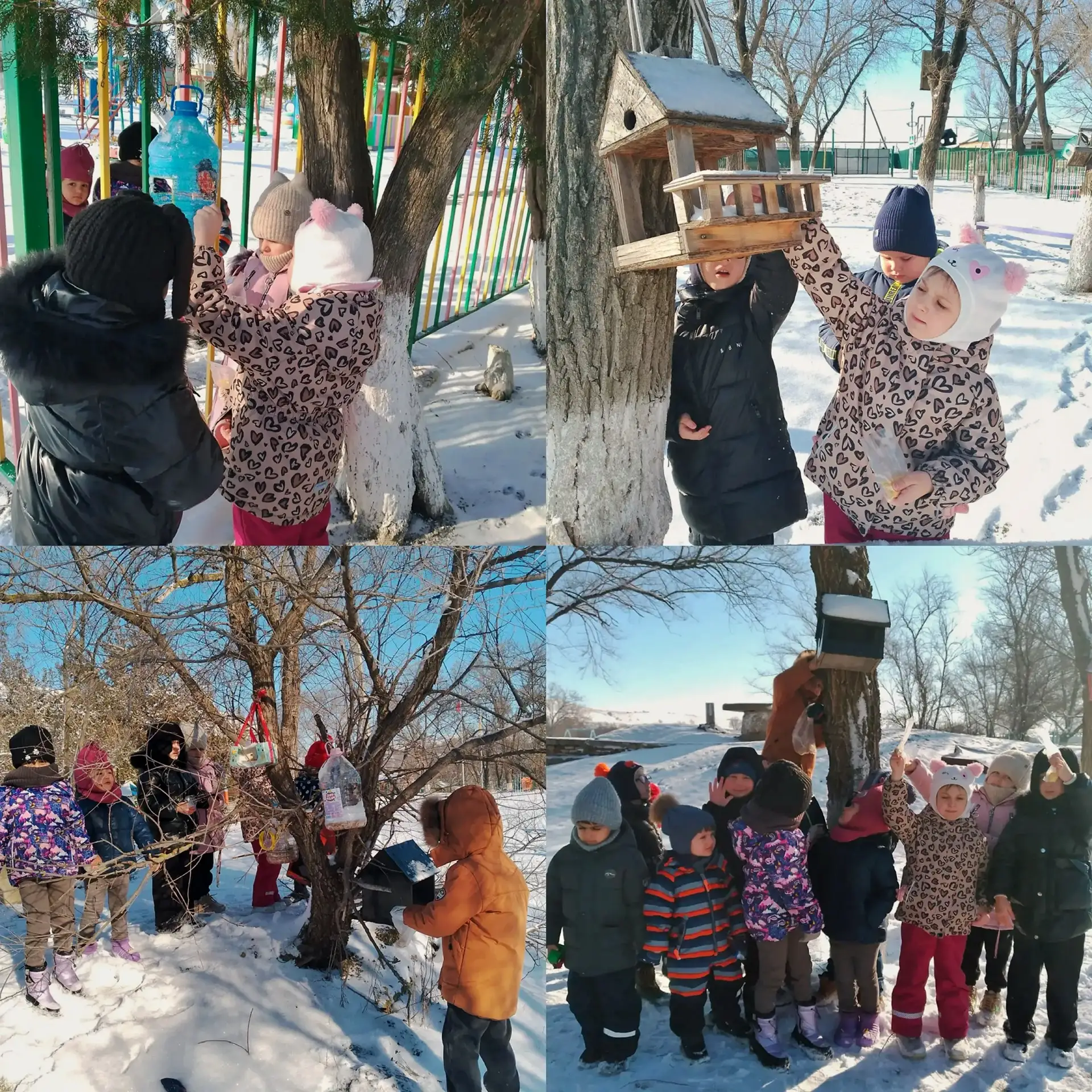 Покормим птиц зимой!🦉🦅🐦‍⬛