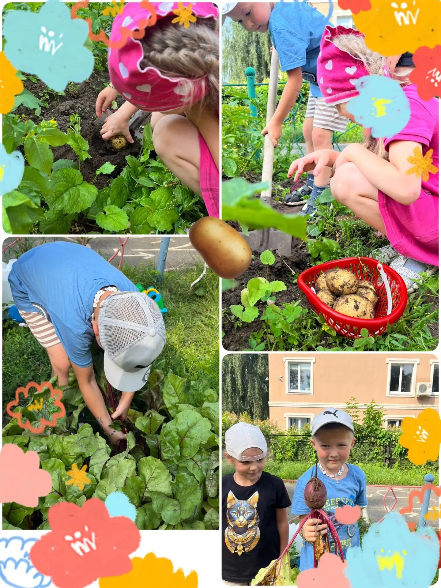 🥒 Наш огород — это мы! 🍅
Мы, ребята из группы «Земляничка», всё лето ухаживаем за нашим маленьким 