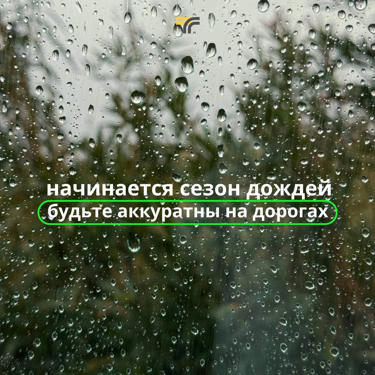Похоже, что в Московском регионе начинается сезон дождей — уже в эти выходные будет неб...