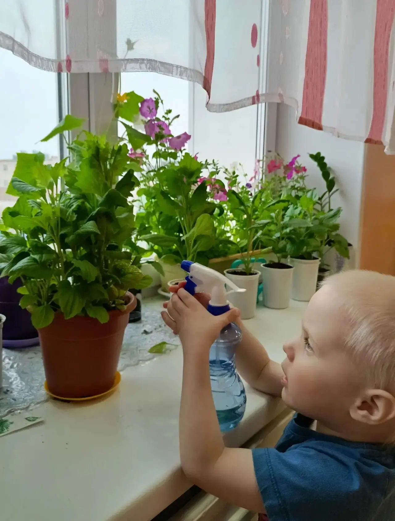 Мы друзья природы.