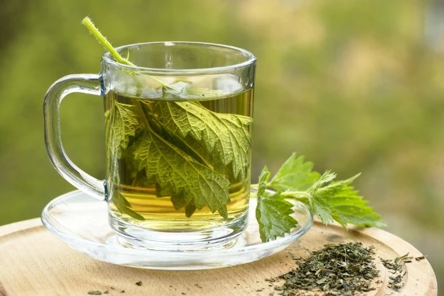 🌱 Садовые лекари: сорняки, которые нас лечат

Подорожник 🍃

Наполненный эффективными элементами, т