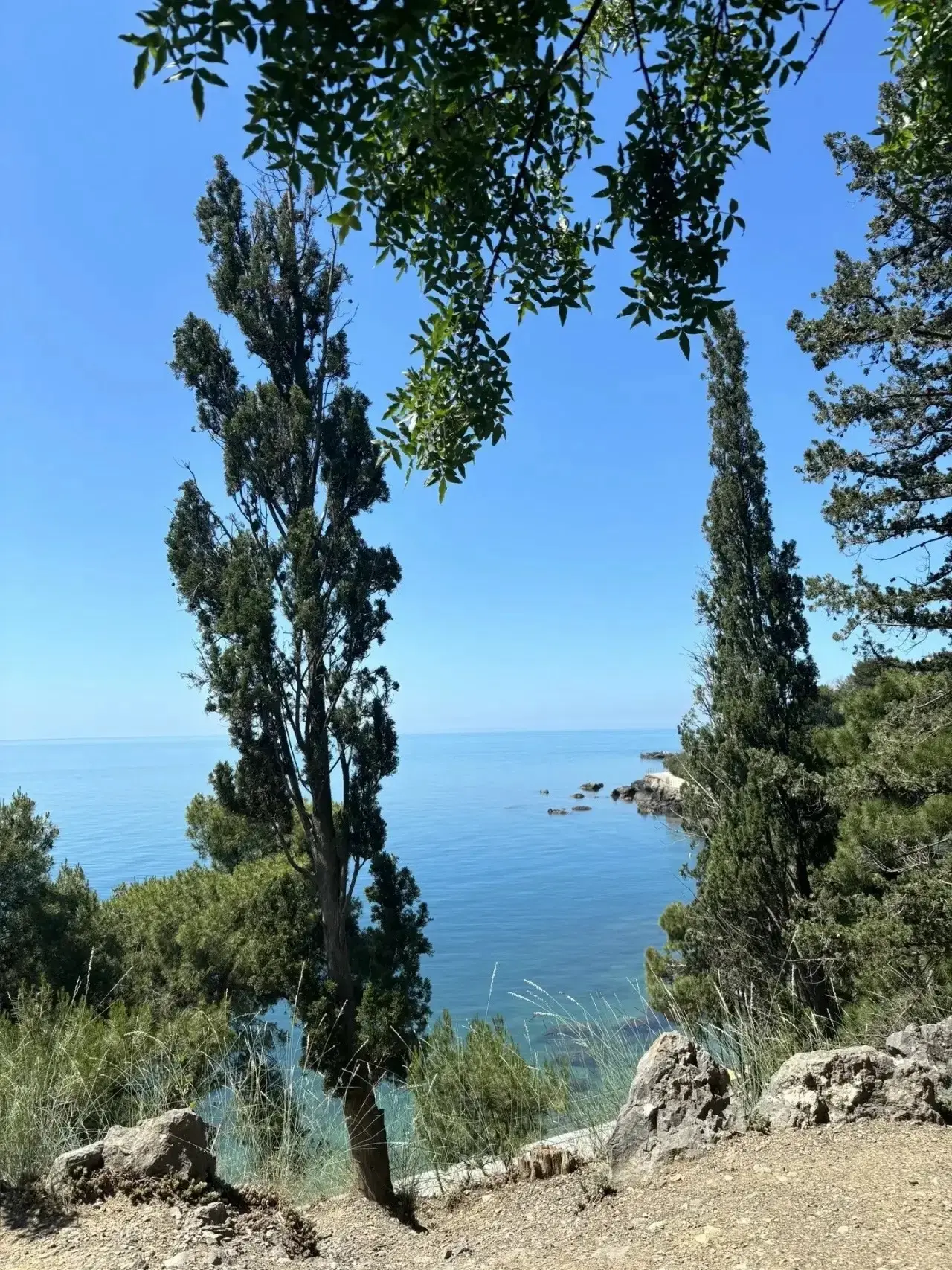 😍В Форосе идеально красиво цветут кувшинки, а мы любуемся, гуляем в парке и понемногу открываем сез