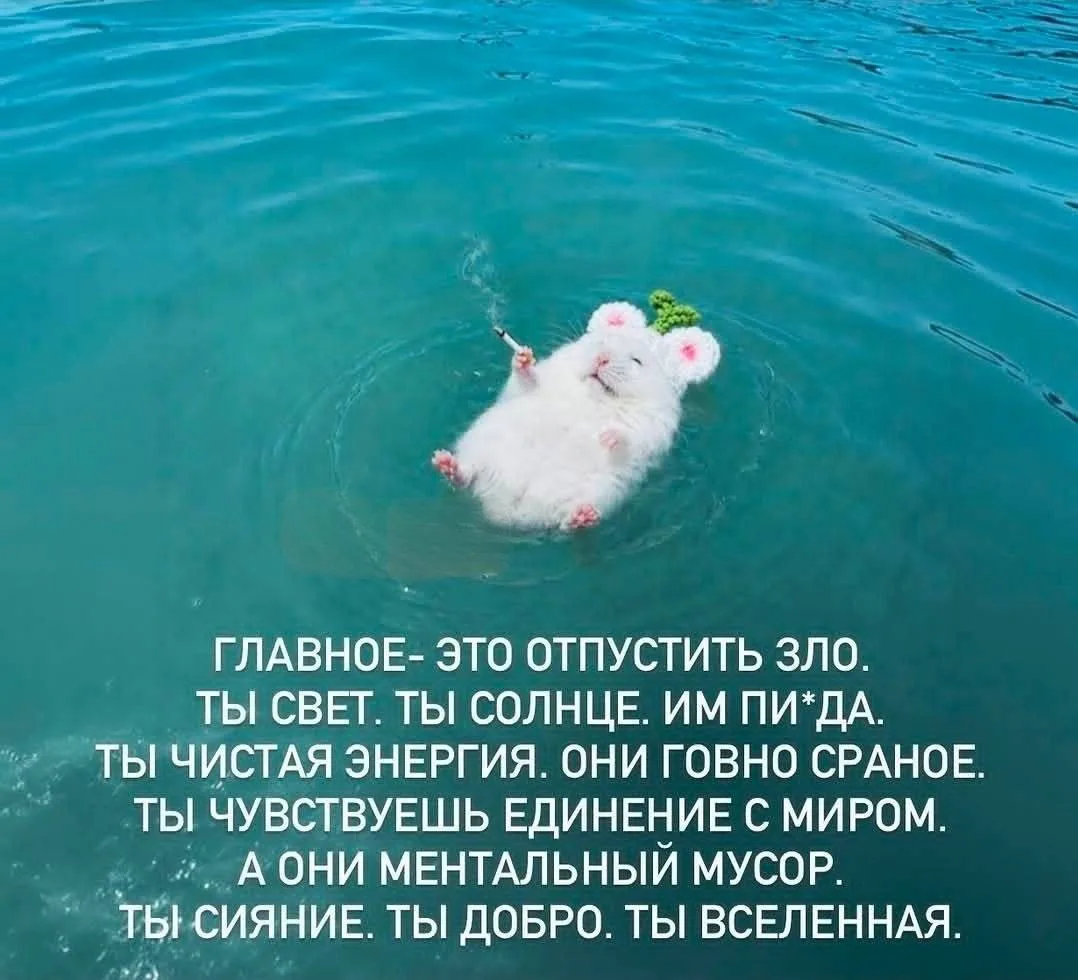 Перед тем как ложиться спать нужно отпустить весь негатив🧘🏼‍♀️😅

——————————————————
💘Она из Крас