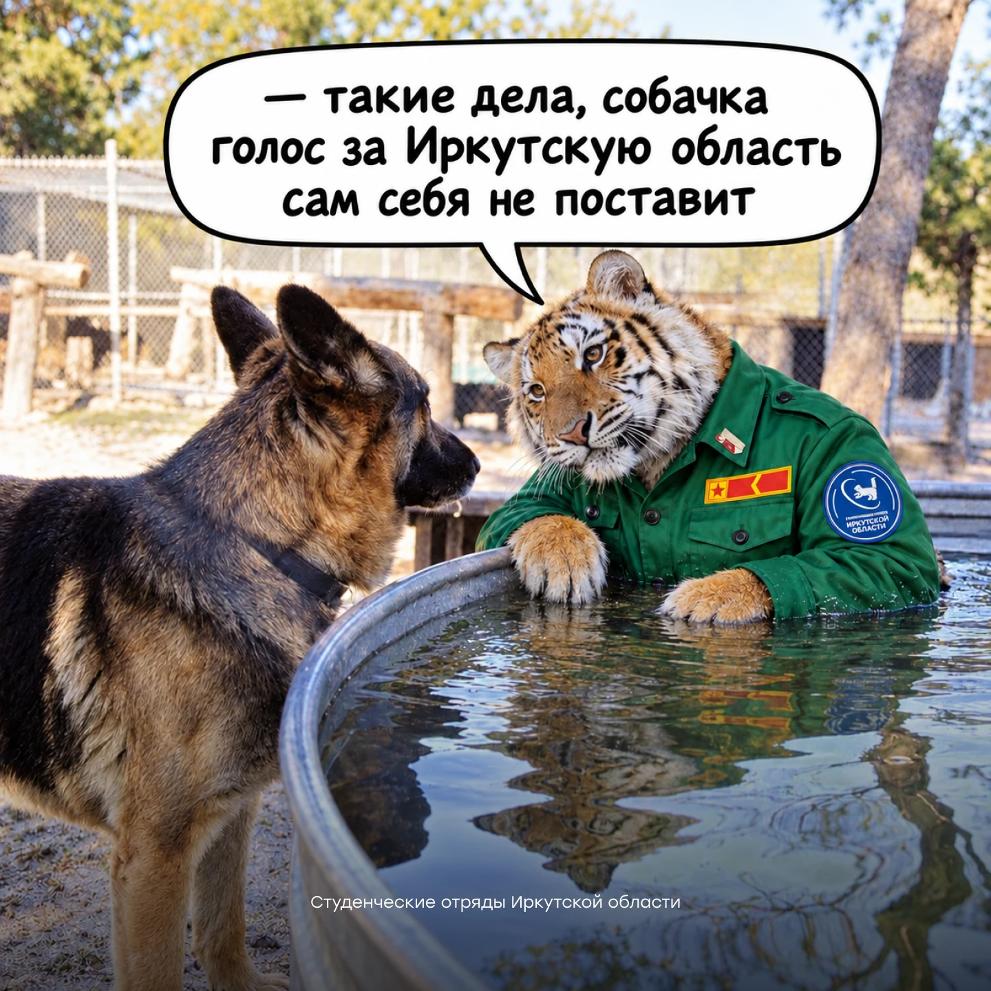 Такие дела, собачка!🐯