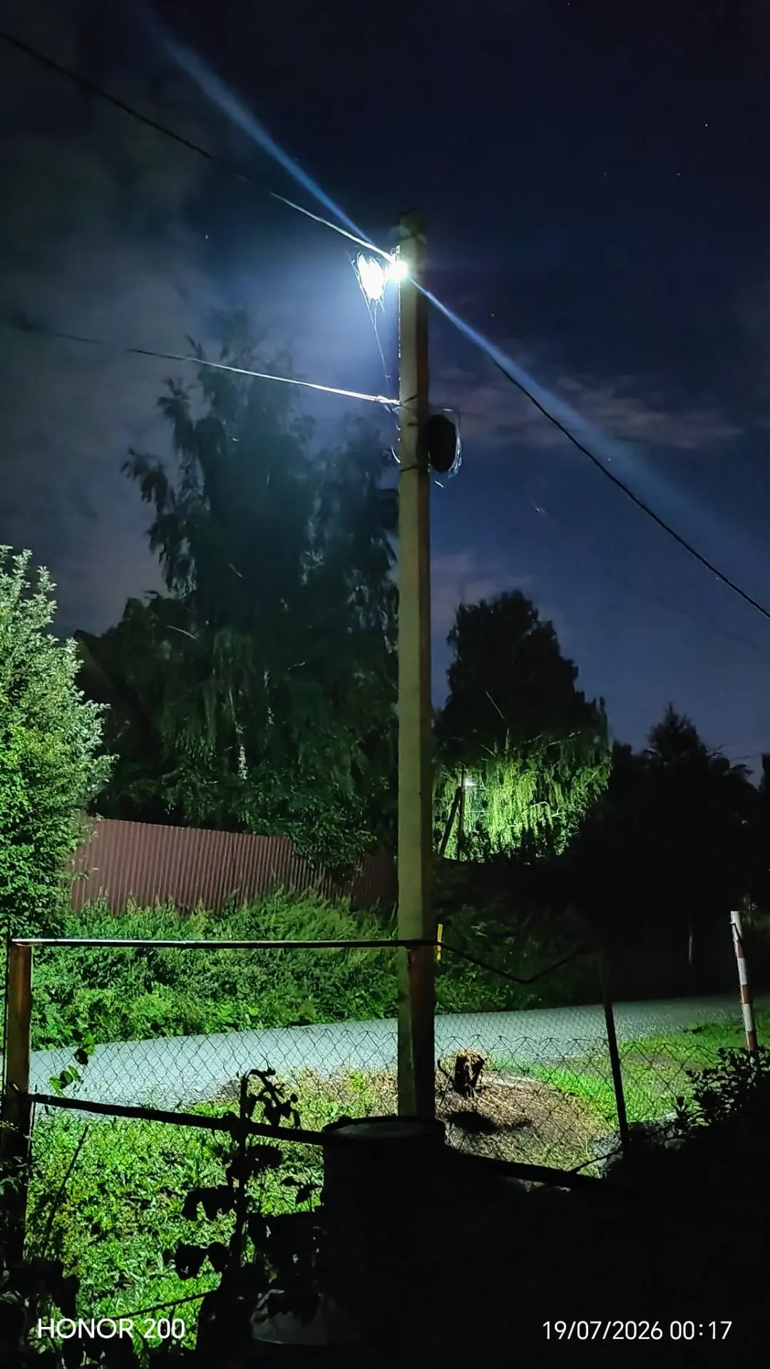 А ещё говорят, что у членистногих нет мозгов...
