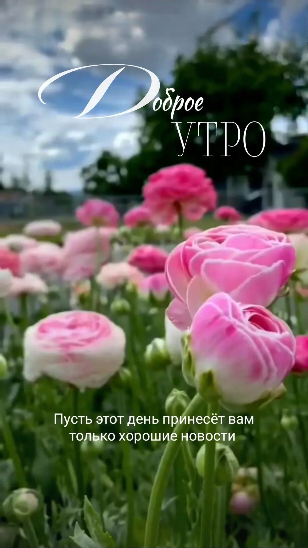 Подписывайся на нас!
