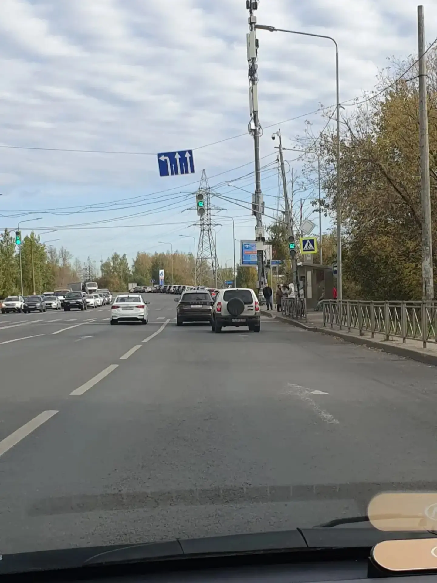 Газпромнефть Цветы