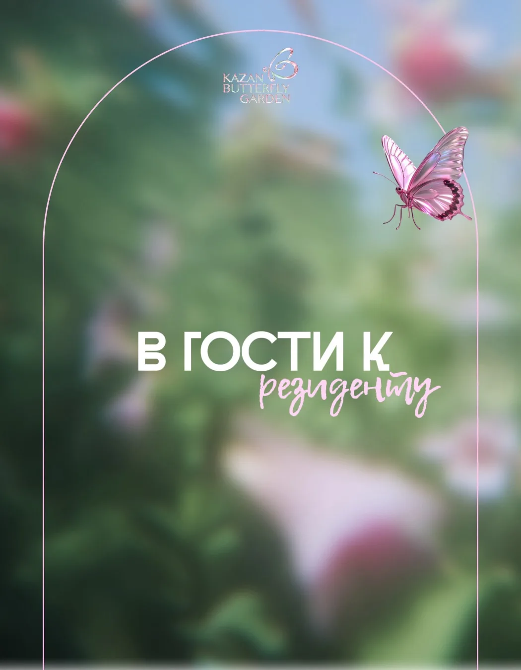 День открытых дверей 🦋