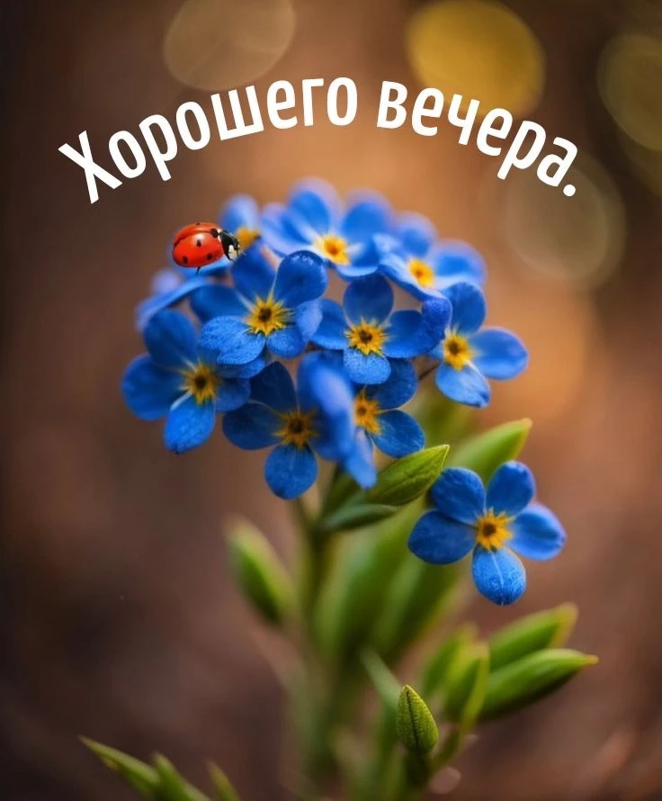 #хорошеговечера