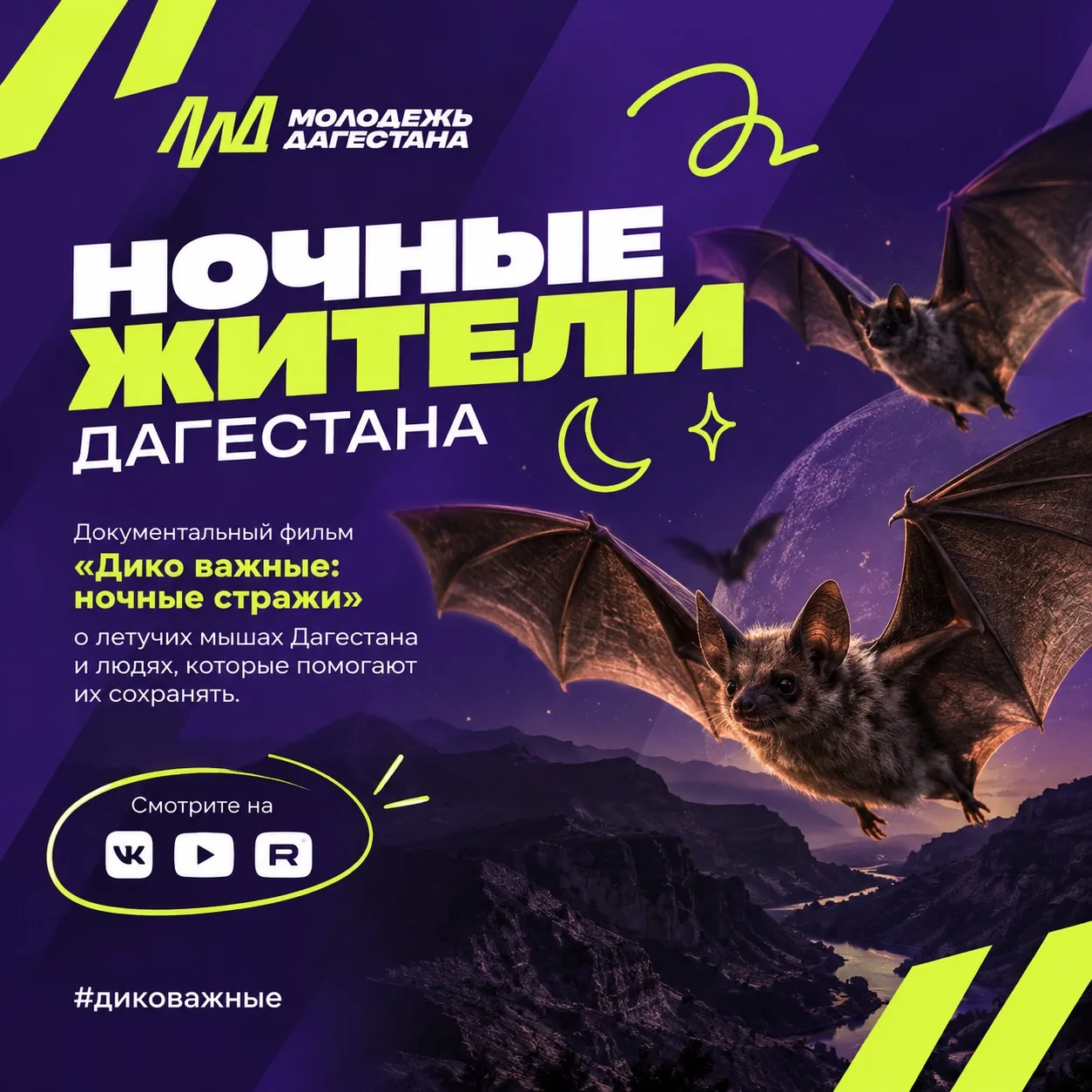 🦇 Ночные жители Дагестана