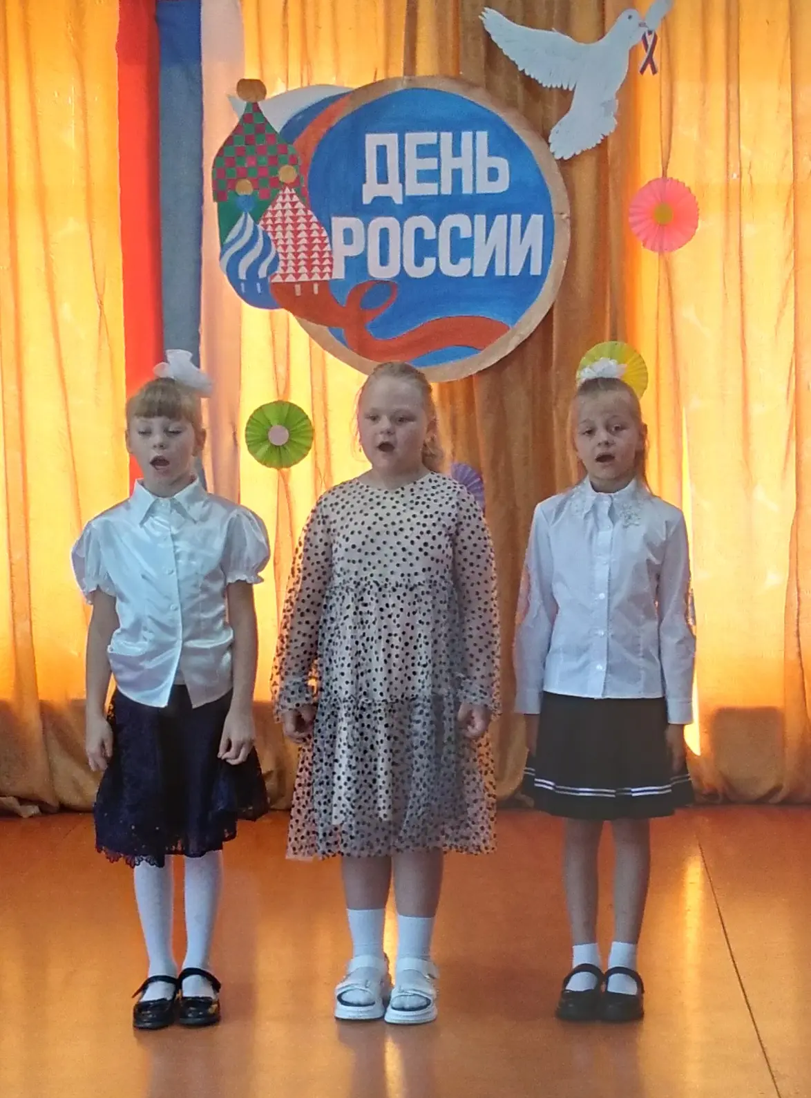 12 июня в нашей стране отмечается государственный праздник-  День России. Этот день сим...