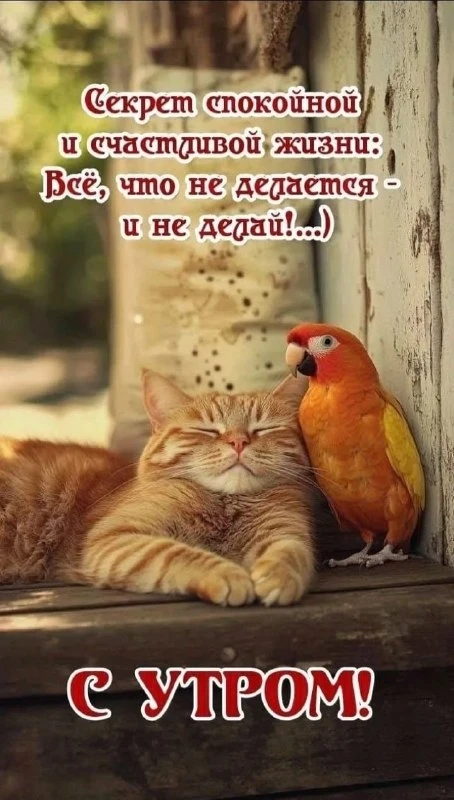 Открытки: подписаться ❤️