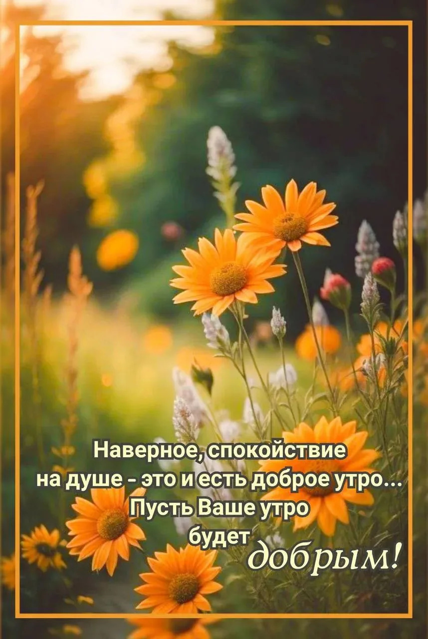 #ДоброеУтро