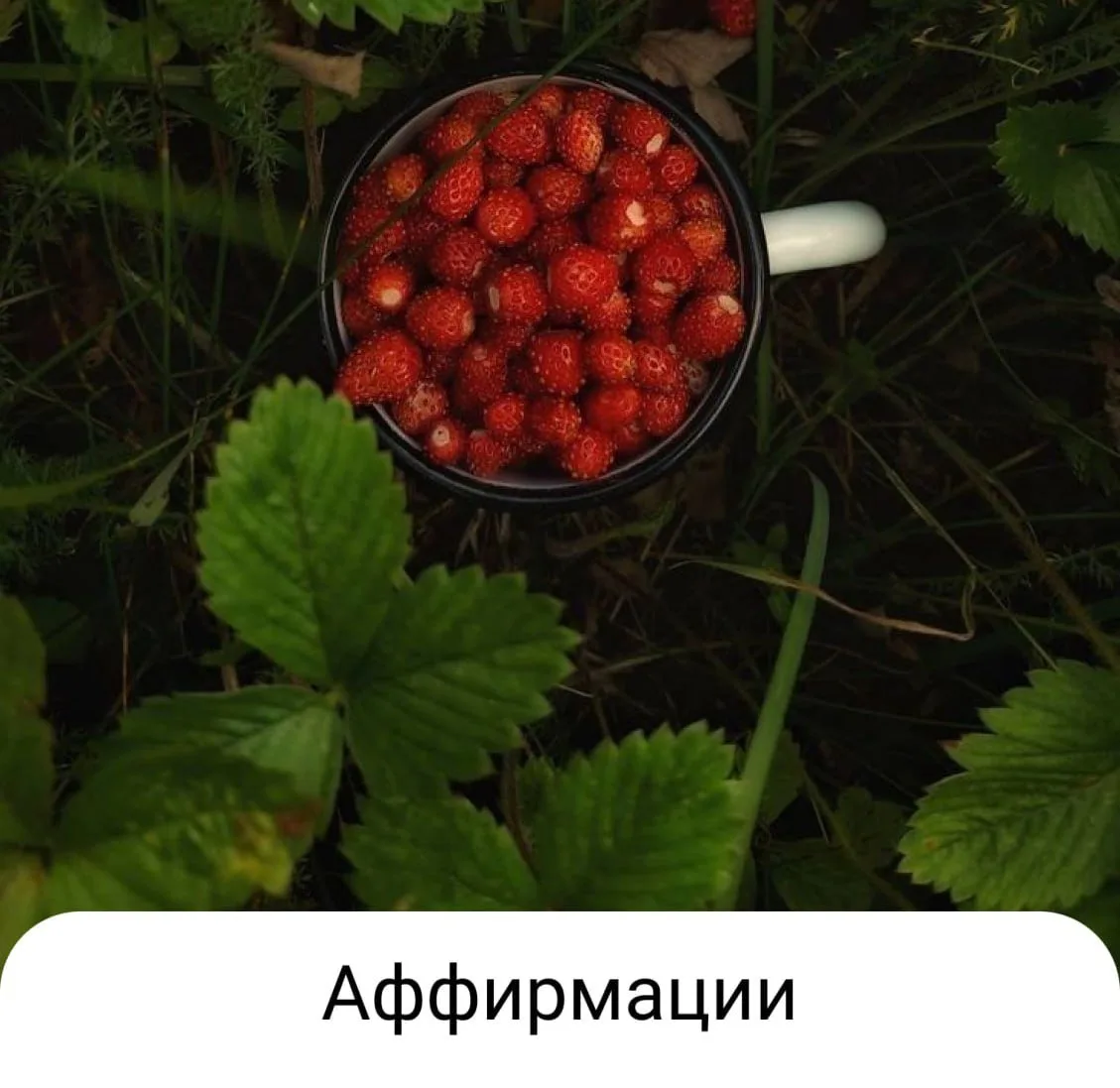Доброго светлого утра ☀️