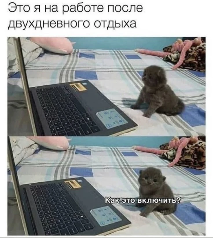 🌤 Доброе утро, друзья!