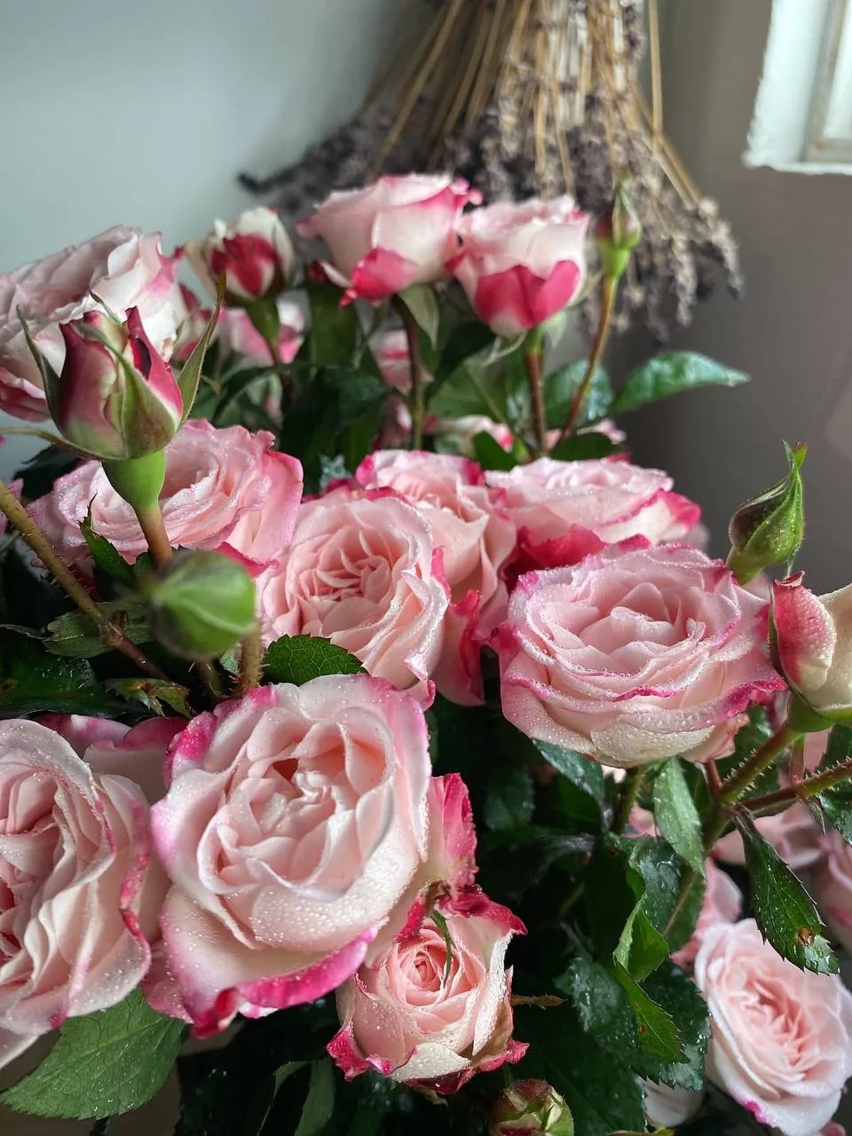 🌸 Утро начинается
