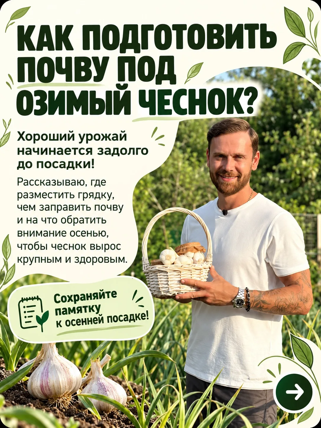 🧄 ХОТИТЕ ВЫРАСТИТЬ КРУПНЫЙ ОЗИМЫЙ ЧЕСНОК? НАЧНИТЕ С ПОДГОТОВКИ ПОЧВЫ!