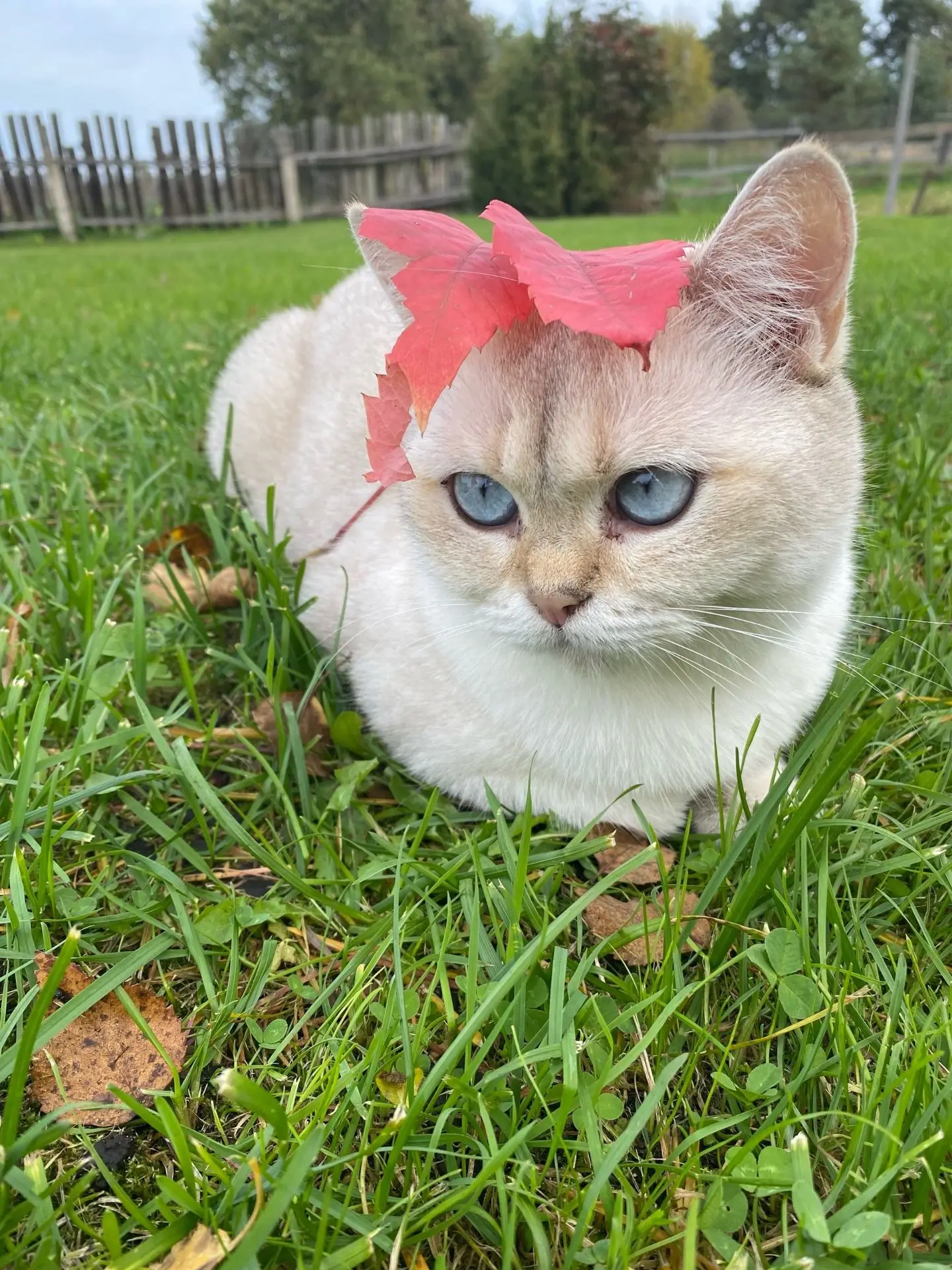 Ещё не устали от осени? 🤔🍁